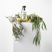 BONDI WASH 鏡面清潔液系列 - 雪梨薄荷及迷迭香