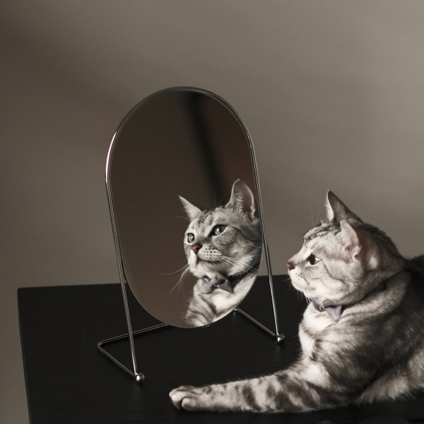 flødeis 現代桌面梳妝鏡